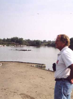 Bird watching in Camargue_2002_1