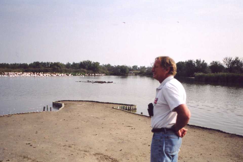Bird watching in Camargue_2002_1