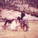 Field research Tunisia_1970_1