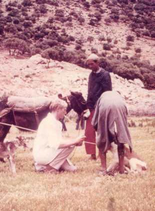 Field research Tunisia_1970_1