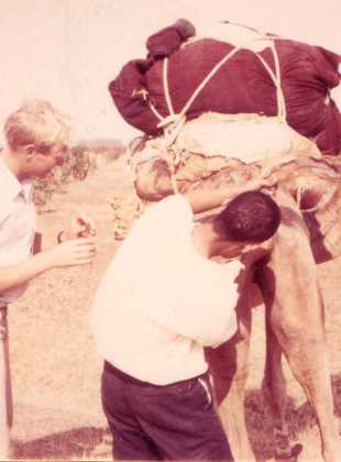 Field research Tunisia_1970_2