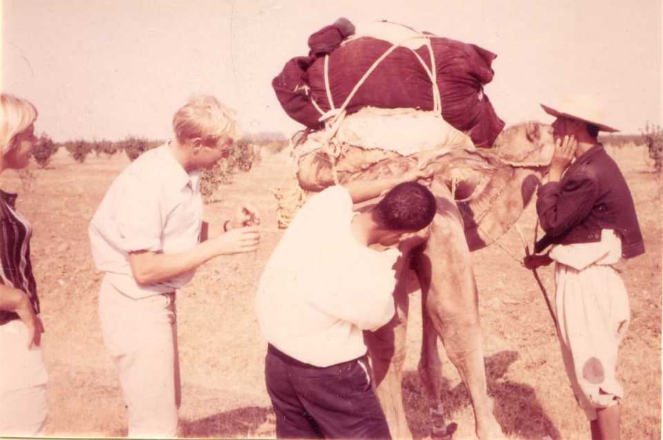 Field research Tunisia_1970_2
